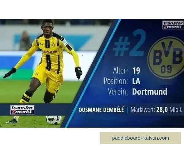 德甲球员合同变动情况分析及市场趋势观察